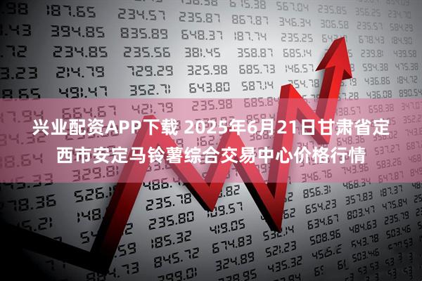 兴业配资APP下载 2025年6月21日甘肃省定西市安定马铃薯综合交易中心价格行情