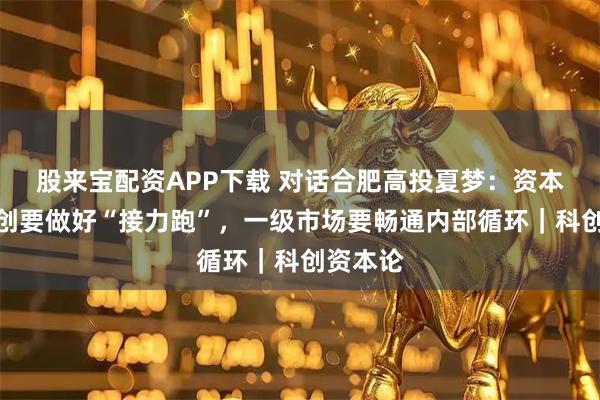 股来宝配资APP下载 对话合肥高投夏梦：资本支持科创要做好“接力跑”，一级市场要畅通内部循环｜科创资本论