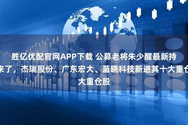 胜亿优配官网APP下载 公募老将朱少醒最新持仓来了，杰瑞股份、广东宏大、蓝晓科技新进其十大重仓股